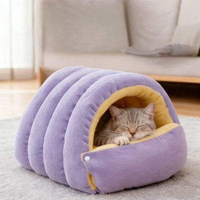  maison pour chats chaton endormi profondement dedans dans salon