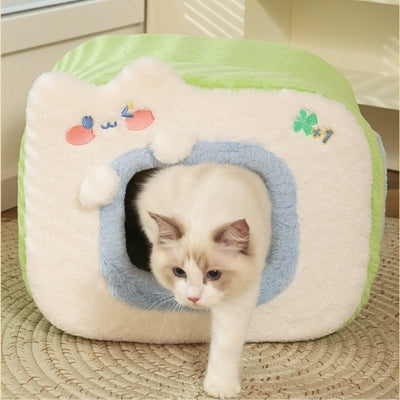 maison pour chats verte ragdoll sortant