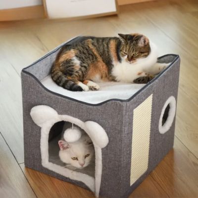 maison pour les chats chat dedans chat balcon