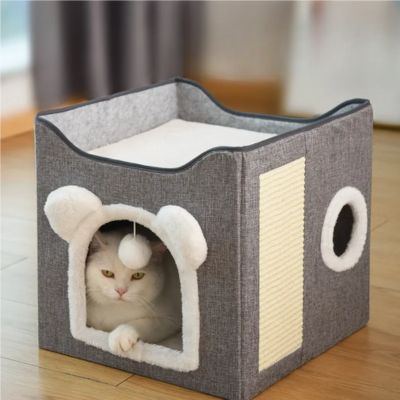 maison pour les chats chat relaxant intérieur