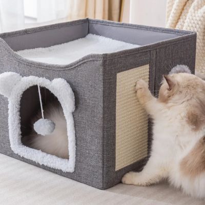 maison pour les chats cats ragdoll faisant ses griffes