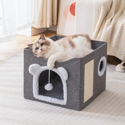 maison pour les chats ragdoll relaxant balcon