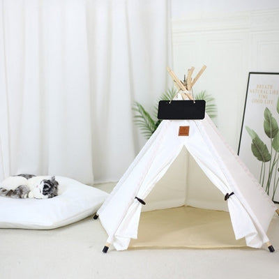 maison pour les chats relaxant paisiblement sur coussin