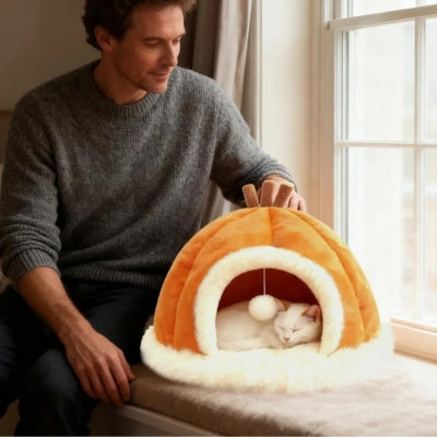 maison pour les chats chat dort dedans homme à côté