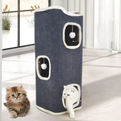 maison pour les chats chat sortant chaton assis