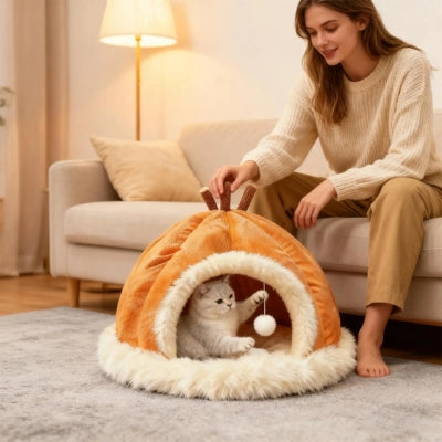 maison pour les chats chaton jouant balle suspendue femme assise canapé 