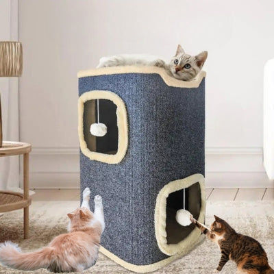 maison pour les chats chats grattant detendu jouant balle suspendue