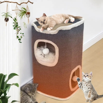 maison pour les chats relaxants chaton jouant