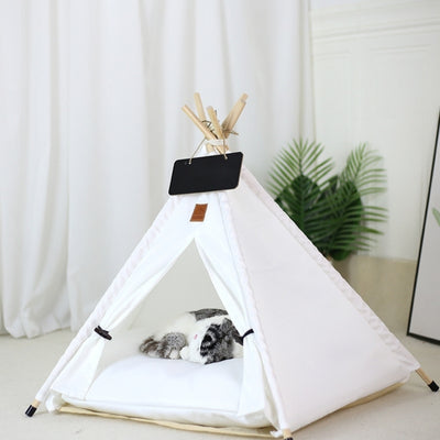 maison pour les chats dans salon chat dort dedans