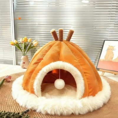 maison pour les chats sur tapis