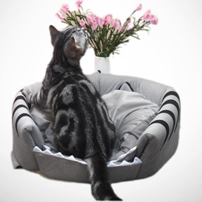 maisons pour chat assis dessus humant fleurs