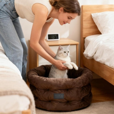 maîtresse met chaton dans cocon pour chat