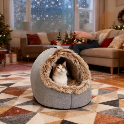 niche à chat chat relaxant dedans dans salon