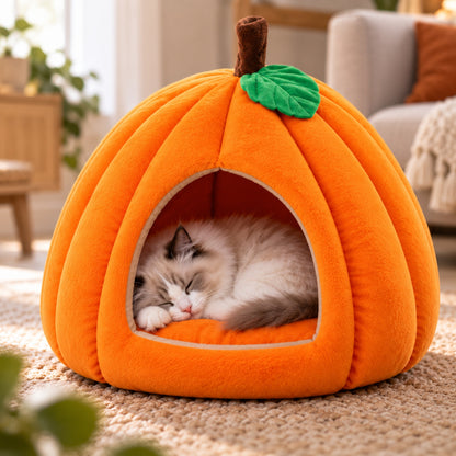 niche a chat orange ragdoll dort paisiblement dedans