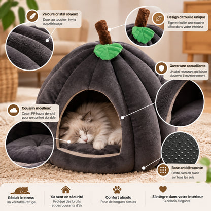 niche a chat potichat caractéristiques distinctives