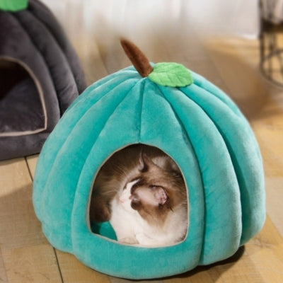 niche à chat turquoise ragdoll relaxant dedans