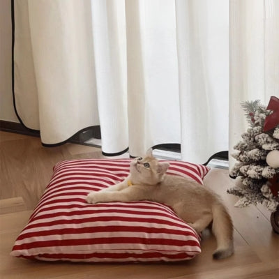 niche chat chaton allongé sur coussin rouge