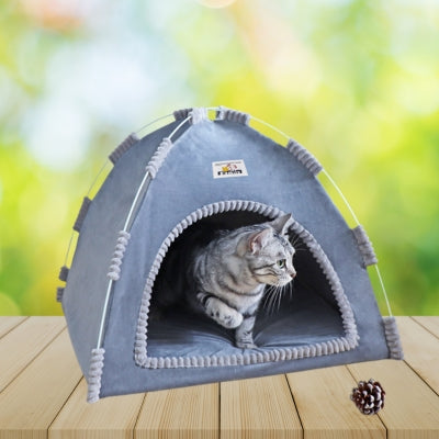 niche chat gris chat observant dedans