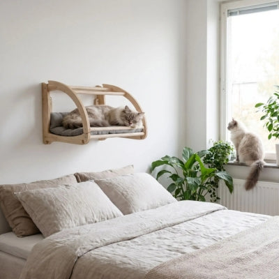 niche murale chat le balcon chambre deux chats