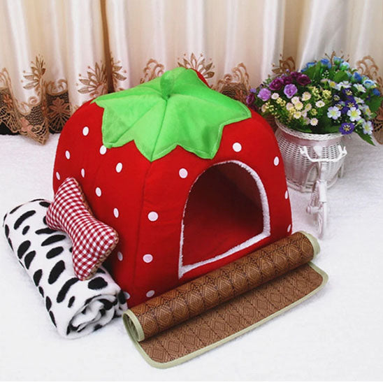 niche pour chat fraise dans salon