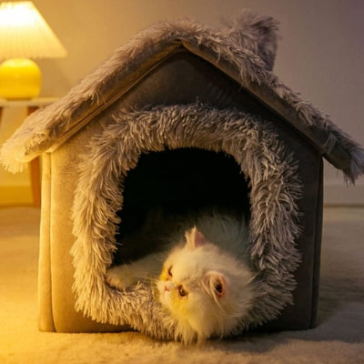 niche pour chaton chaton detendu confortablement dedans nuit