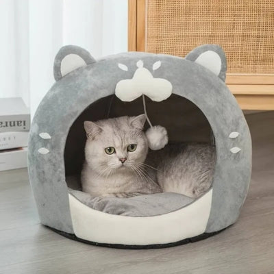 niche pour chaton chaton lové à l'interieur