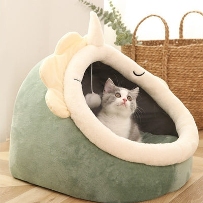 niche pour chaton chaton observant son territoire