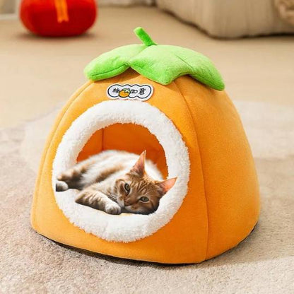 niche pour chaton chaton paisiblement allongé dedans