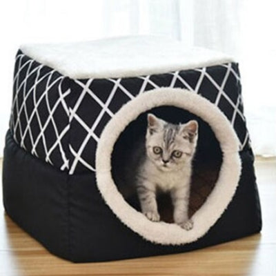 niche pour chaton noire chaton debout dedans