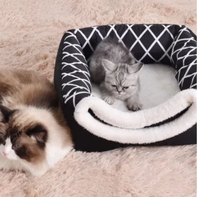 niche pour chaton noire chaton detendu dedans chat à côté