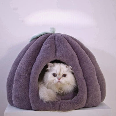 niche pour chaton persan detendu dedans