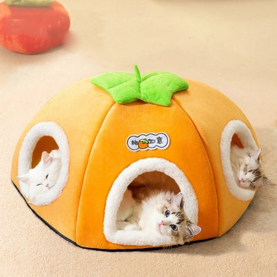 niche pour chatons plusieurs entrées chatons relaxant dedans