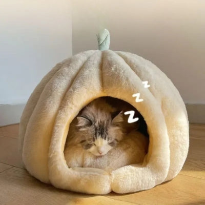 niche pour chaton ragdoll endormi dedans