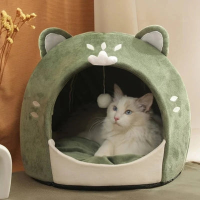 niche pour chaton ragdoll lové à l'intérieur