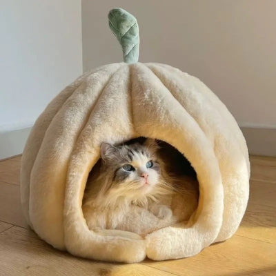 niche pour chaton ragdoll relaxant dedans