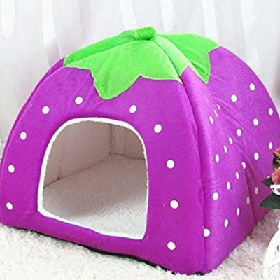 niche pour chaton violet sur tapis blanc