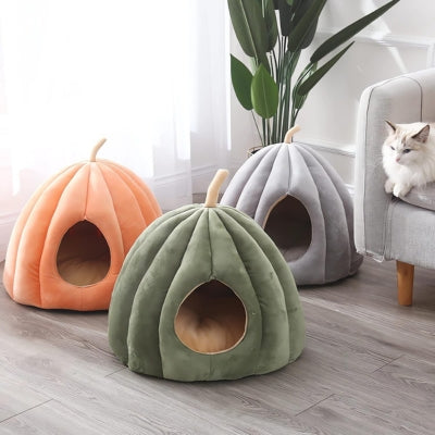 niches chat vert kaki gris taupe orange citrouille parquet salon