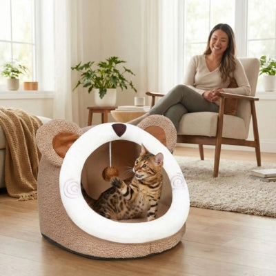 niches pour chats bangal jouant balle suspendue sous regards ravis maîtresse