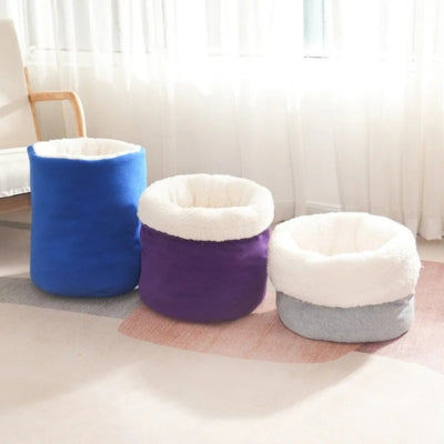 nid chaton bleu et gris et violet en position debout