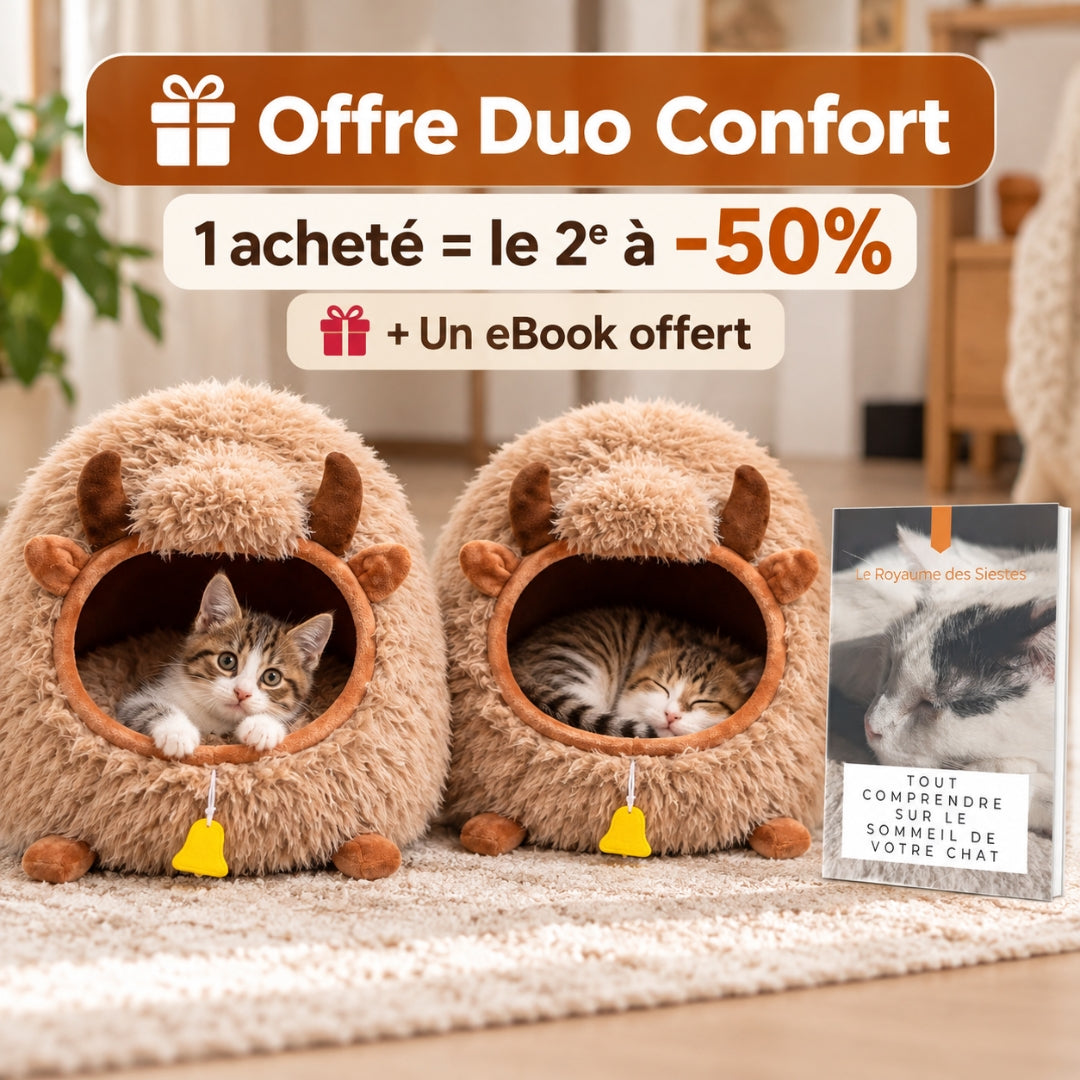 offre duo confort iglooyak image carousel
