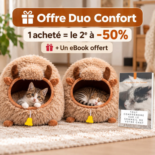 offre duo confort iglooyak image carousel