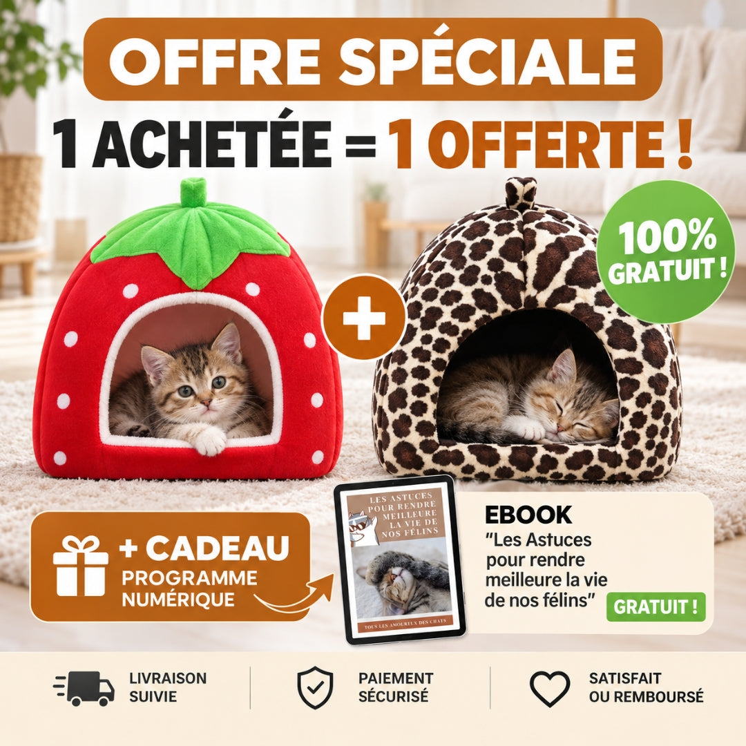 offre marketing fraise féline une achete une offerte