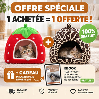 offre marketing fraise féline une achete une offerte