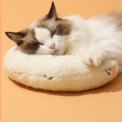 oreiller chat blanc ragdoll relaxant dessus