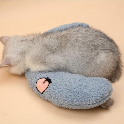 oreiller chat bleu chaton dormant sur son ventre dessus