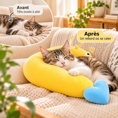 Oreiller chat jaune avant après : tête calée sur le rebord