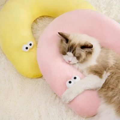 oreiller chat rose ragdoll dort dessus oreiller jaune à côté