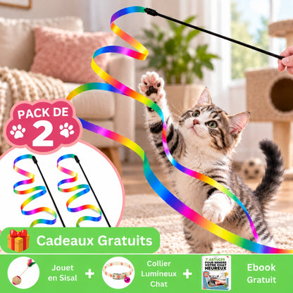 pack 2 offre marketing jouet chat arc-en-ciel magique