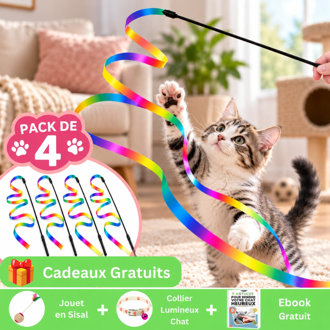 pack 4 offre marketing jouet chat arc-en-ciel magique