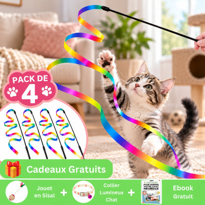 pack 4 offre marketing jouet chat arc-en-ciel magique